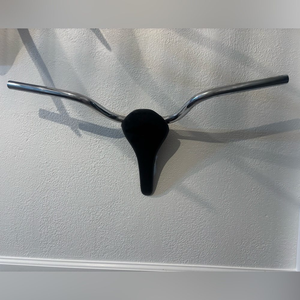 Black and Silver Wall Decor "euro mount antler style"